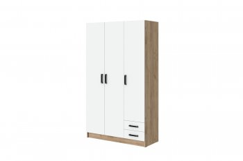 Шкаф 1200 мм Эконом без зеркала (Зарон) в Дегтярске - degtyarsk.mebel-e96.ru