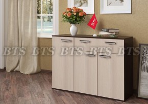 Комод Стандарт 4 NEW (БТС) в Дегтярске - degtyarsk.mebel-e96.ru