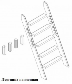 Кровать Сонечка 2-х ярусная (модульная) в Дегтярске - degtyarsk.mebel-e96.ru