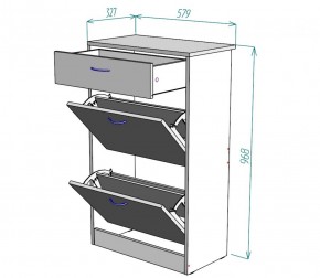 Обувница W21 (ДМ) в Дегтярске - degtyarsk.mebel-e96.ru