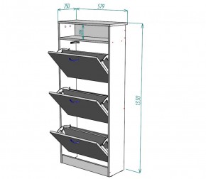 Обувница W9 (ДМ) в Дегтярске - degtyarsk.mebel-e96.ru