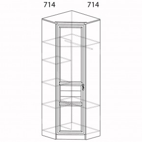 Шкаф для одежды угловой Лира 57 (Яна) в Дегтярске - degtyarsk.mebel-e96.ru