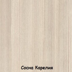 Шкаф 500 мм ДМ-03 Серия 2 (СВ) в Дегтярске - degtyarsk.mebel-e96.ru