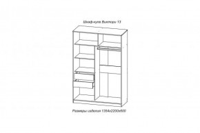 Шкаф-купе ВИКТОРИ-13 Анкор темный в Дегтярске - degtyarsk.mebel-e96.ru