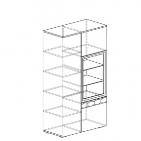 Шкаф многоцелевой Дели 62 (Яна) в Дегтярске - degtyarsk.mebel-e96.ru