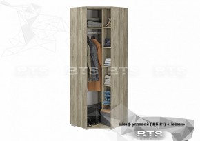 Шкаф угловой ШК-21 Наоми (БТС) в Дегтярске - degtyarsk.mebel-e96.ru