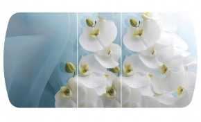Стол Бостон-3 (Белая Орхидея) 1100/1420*700, опора Брифинг в Дегтярске - degtyarsk.mebel-e96.ru