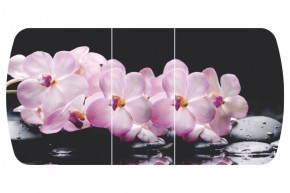 Стол Бостон-3 (Розовая Орхидея) 1100/1420*700, опора Брифинг в Дегтярске - degtyarsk.mebel-e96.ru