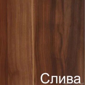 Стол-книжка (1-65) (ГК) в Дегтярске - degtyarsk.mebel-e96.ru
