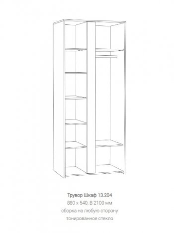 Шкаф Трувор 13.204 в Дегтярске - degtyarsk.mebel-e96.ru